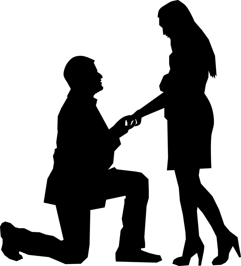 הצעת נישאים